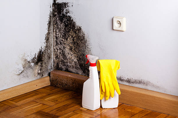 Water Damage Restoration in Goreville, IL